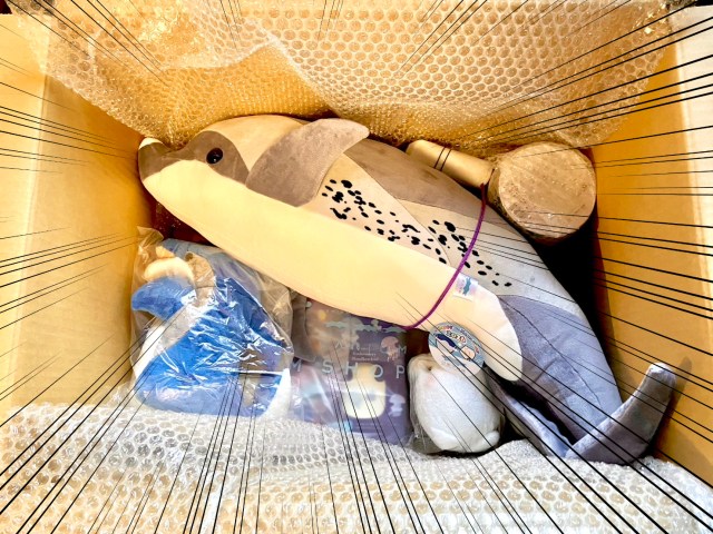 1分で売り切れた「四国水族館」の福袋を開けてみたら…今年はイルカが初めての主役を飾っていた！