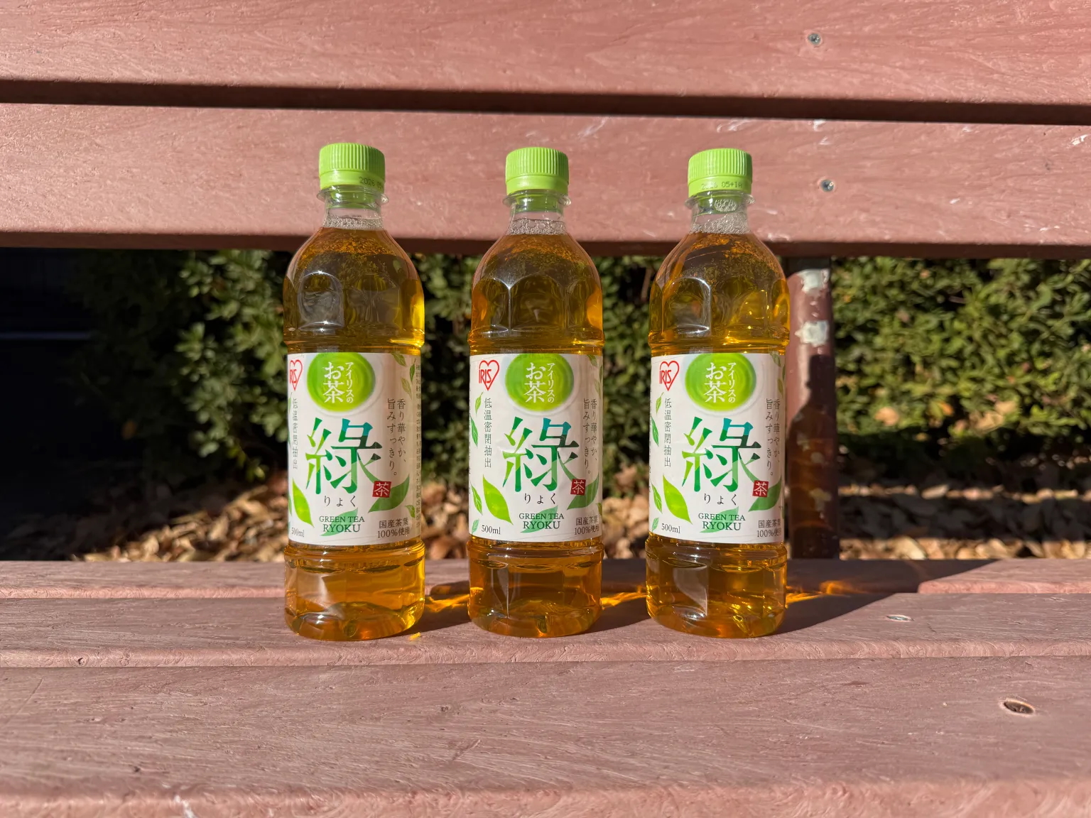【1本58円】アイリスオーヤマの緑茶（500ml）12本セットが698円!! ネット通販ハンター古沢がおすすめする目玉商品7選 / Amazonタイムセール