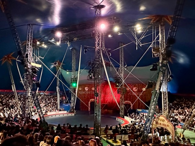 【命がけの輝き】誰もいない夜のステージで怪我と恐怖を乗り越えた話 / 木下サーカスの思い出：第24回