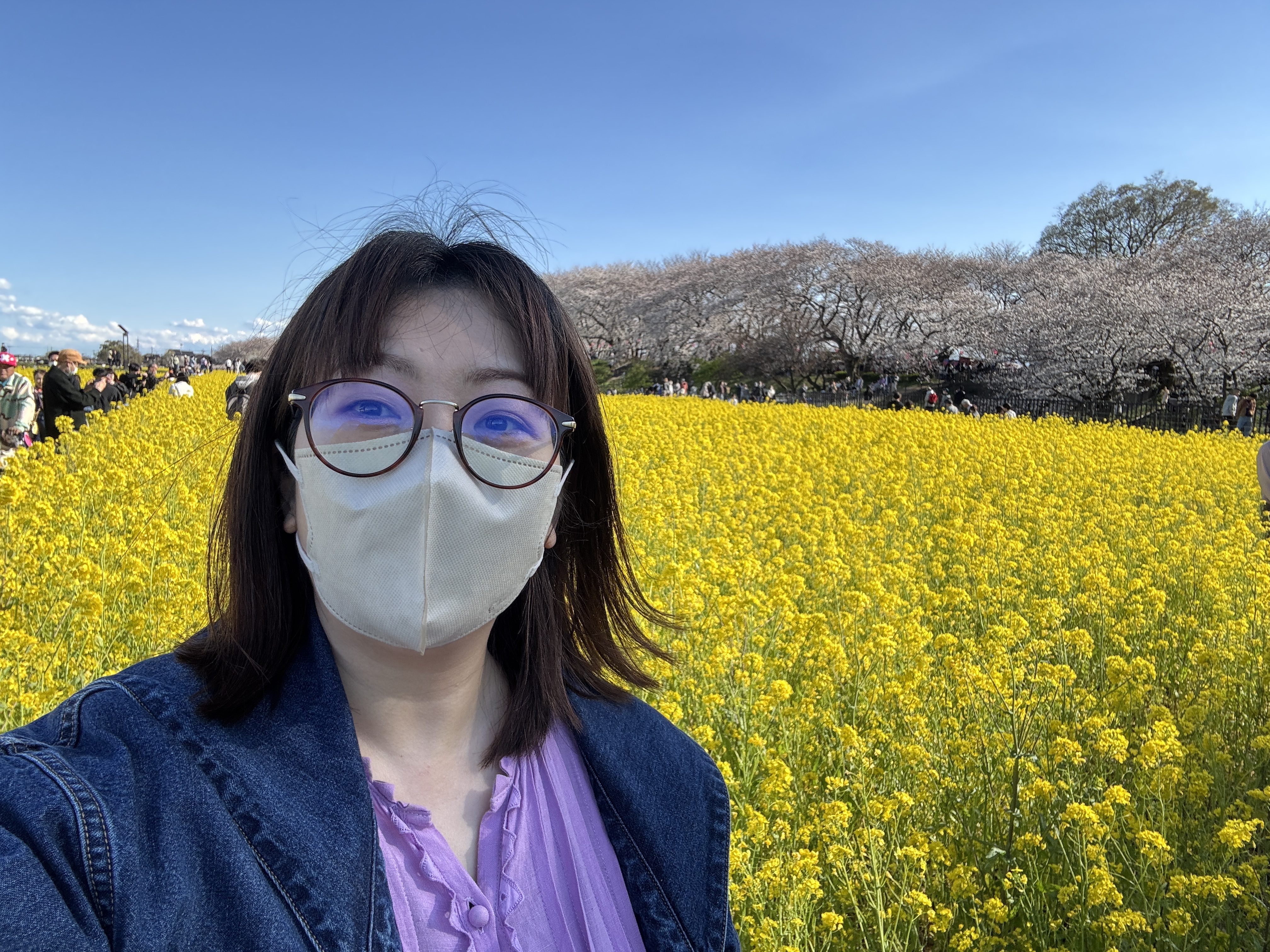 ひとり花見は最高！ ワイドショーの花見特集に違和感があったので全力