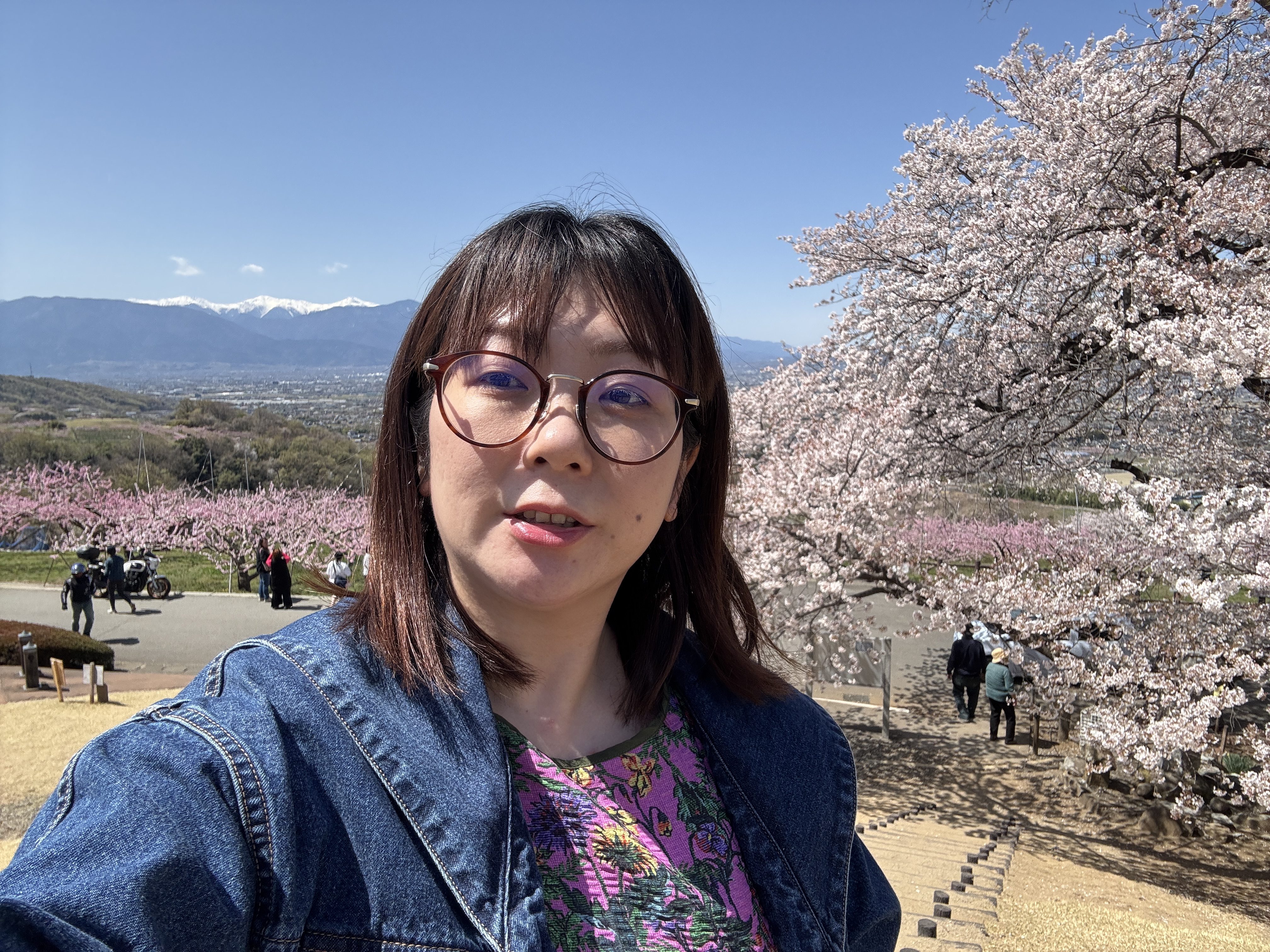 ひとり花見は最高！ ワイドショーの花見特集に違和感があったので全力でおすすめしてみる