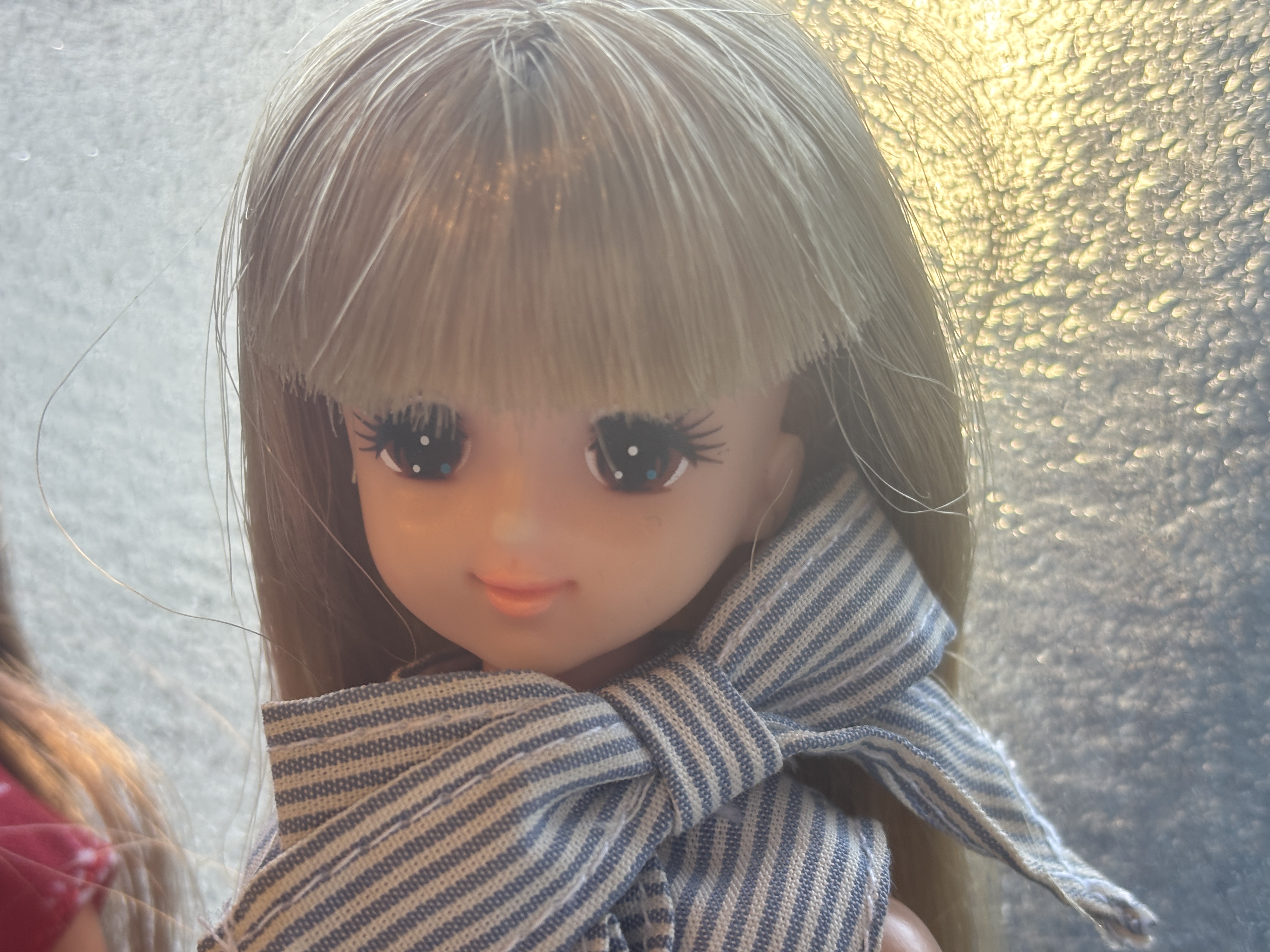 祝40周年！昭和女子が熱狂した「ジェニーちゃん」を探して…秋葉原で