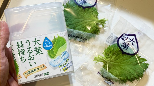 ダイソーの大葉保存容器、25日後の差がエグい【100均検証】
