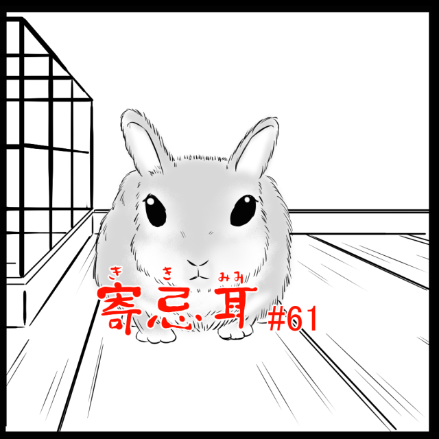 ロケットニュース読者の体験怪談 寄忌耳(キキミミ)第61話「タロちゃん」 ロケットニュース読者の体験怪談 寄忌耳(キキミミ)第61話「タロちゃん」