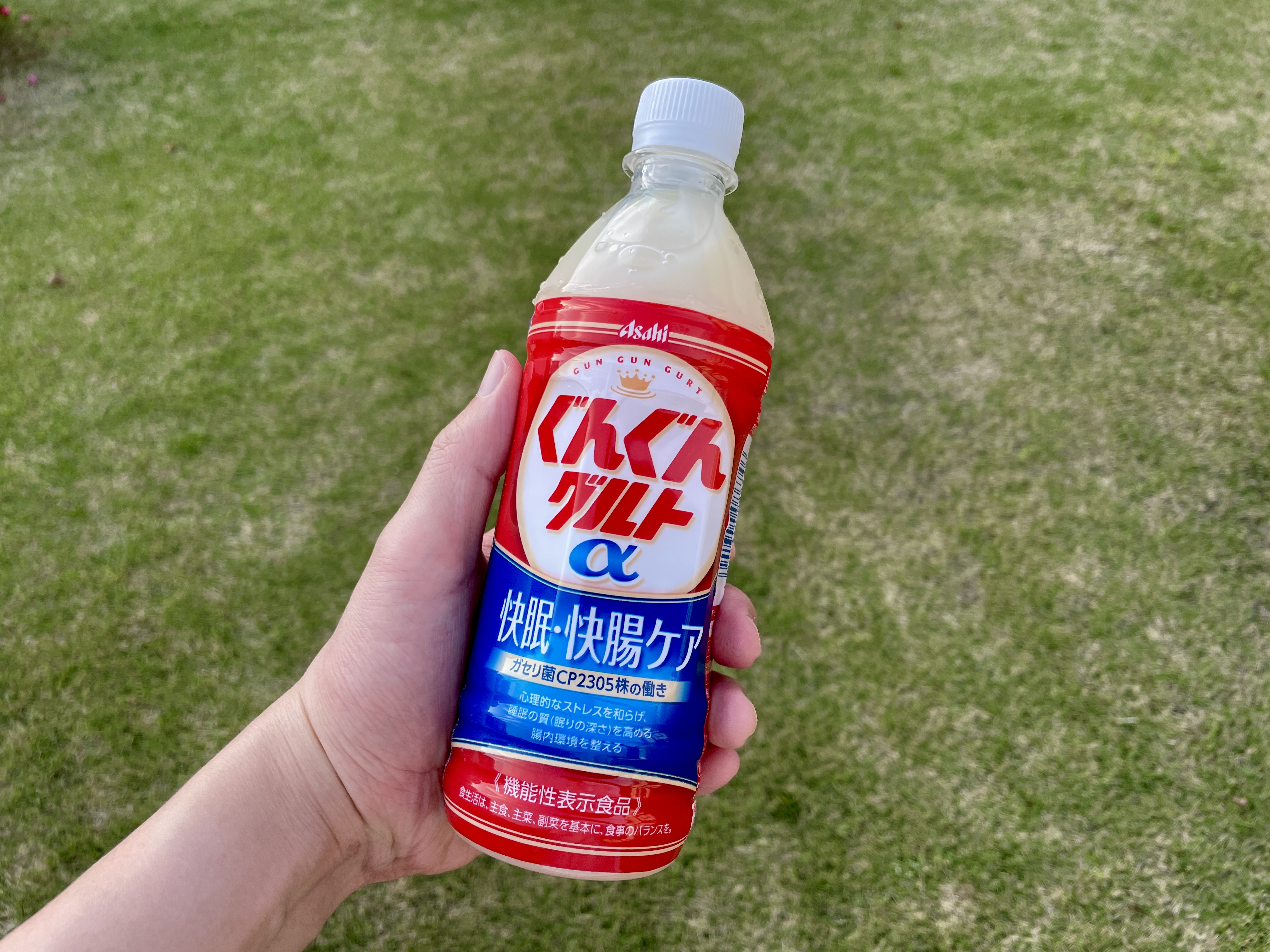 【1本105円】乳性飲料『ぐんぐんグルトα（500ml）』24本セットが2524円！ ネット通販ハンター古沢が発掘した目玉商品23選 / Amazonタイムセール