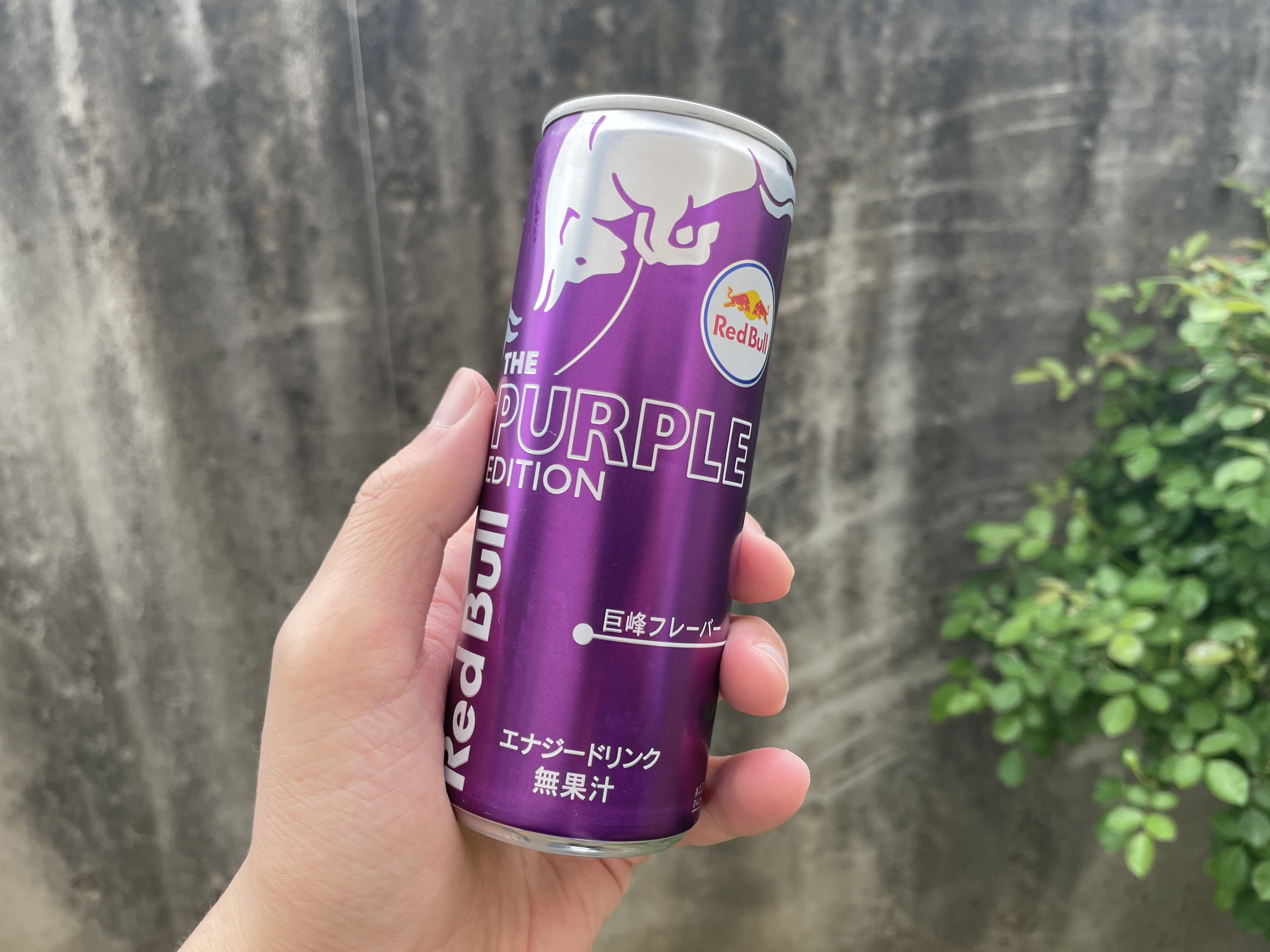 【1本120円】レッドブル（250ml）24本セットが44％オフ！ ネット通販ハンター古沢が推す目玉商品22選 / Amazonタイムセール