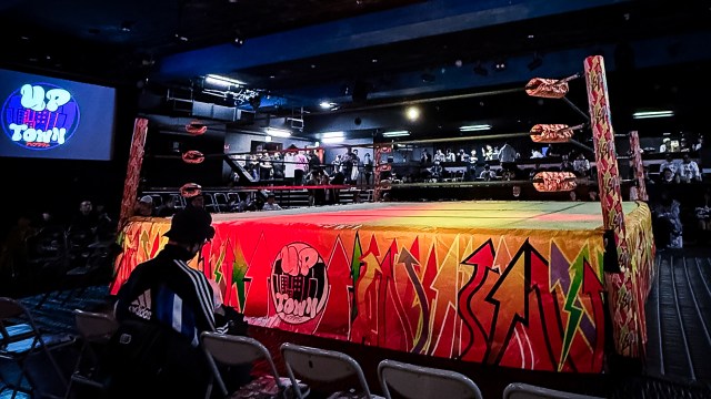 羽鳥同士が出会うと必ずこうなる