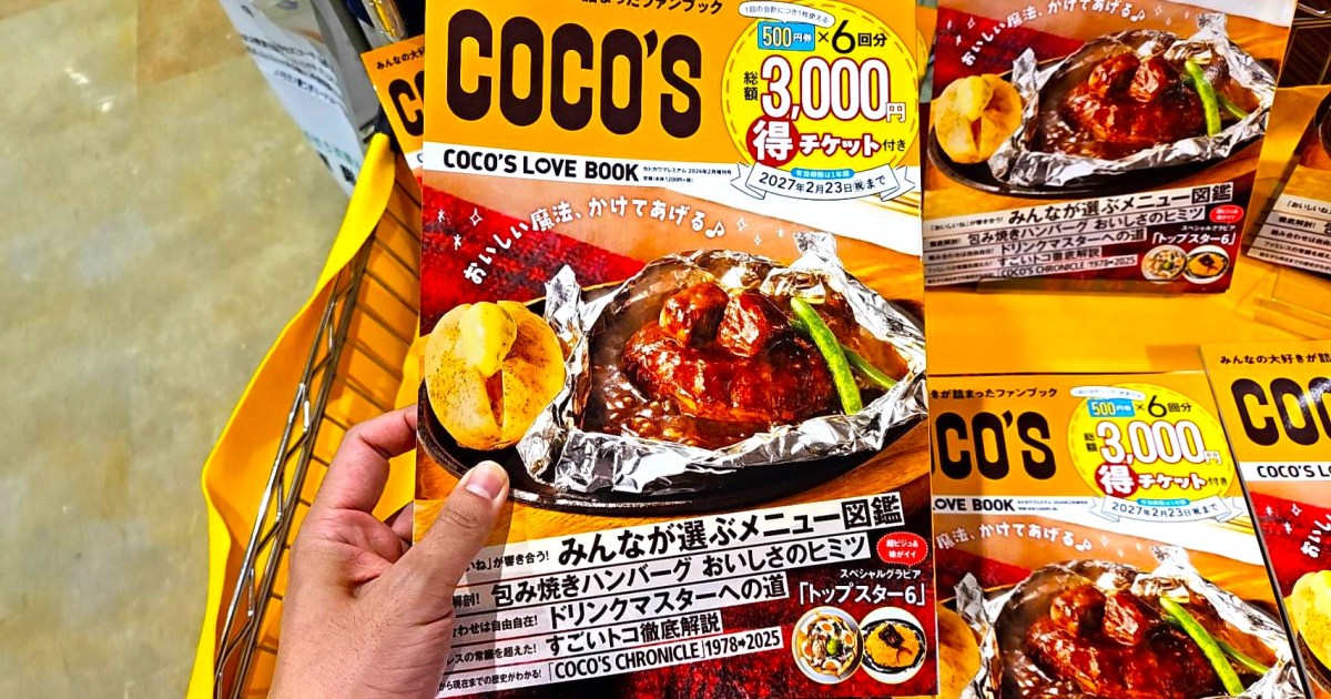 coco88様 リクエスト 3点 まとめ商品 TOY CLUB KOKOYA 風と森の伝説 