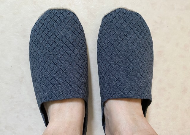 天才が作ったのかと思った…カインズの「履いて歩くだけでお掃除できるスリッパ」を2週間履いてみたら思ったより普通だった