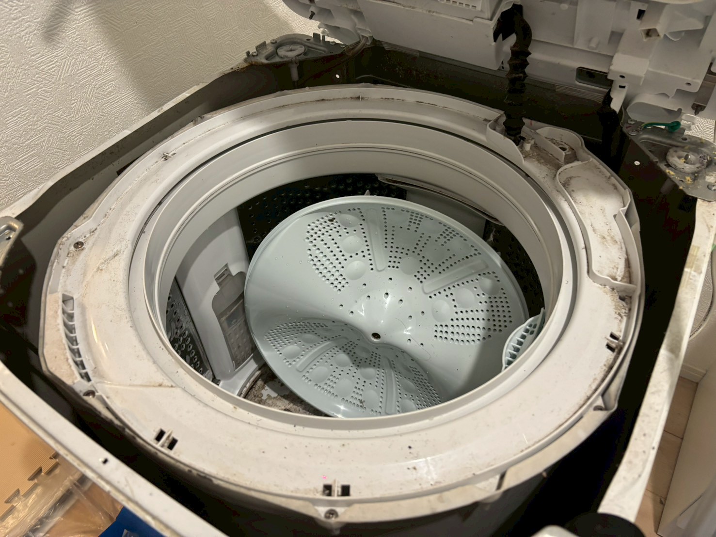 【閲覧注意】3年半使った洗濯機を分解洗浄したら、見えない汚れが想像以上だった / 事前に確認しておいた方がいいポイントも