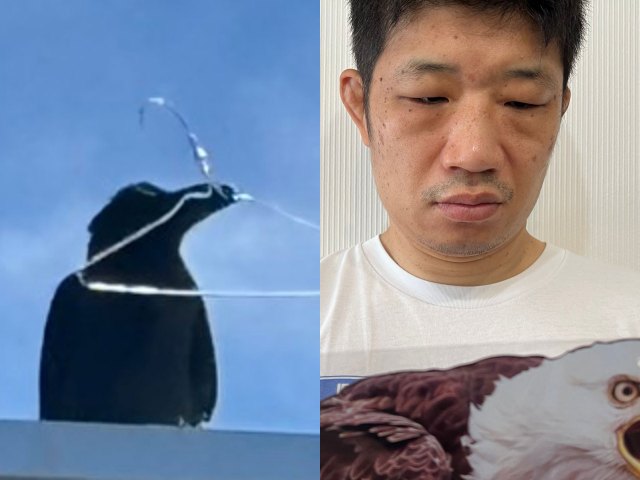 ガチで襲撃してくるカラス VS Amazonで見つけた「日本語の怪しい」鳥よけグッズ / 奇跡は起きるのか? ガチで襲撃してくるカラス VS Amazonで見つけた「日本語の怪しい」鳥よけグッズ / 奇跡は起きるのか?