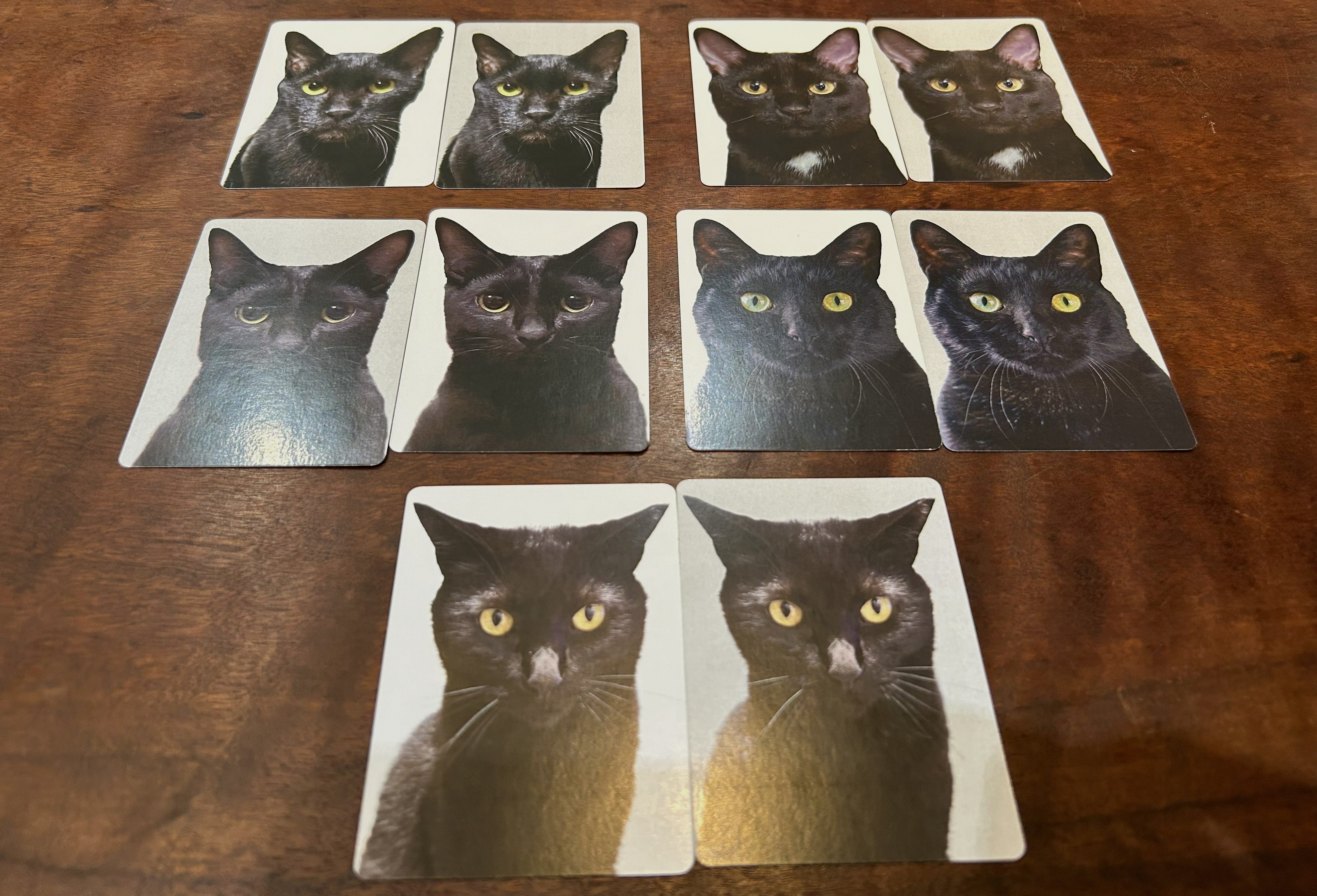 実在する25匹の黒猫写真だけで神経衰弱したら想像以上に地獄だった