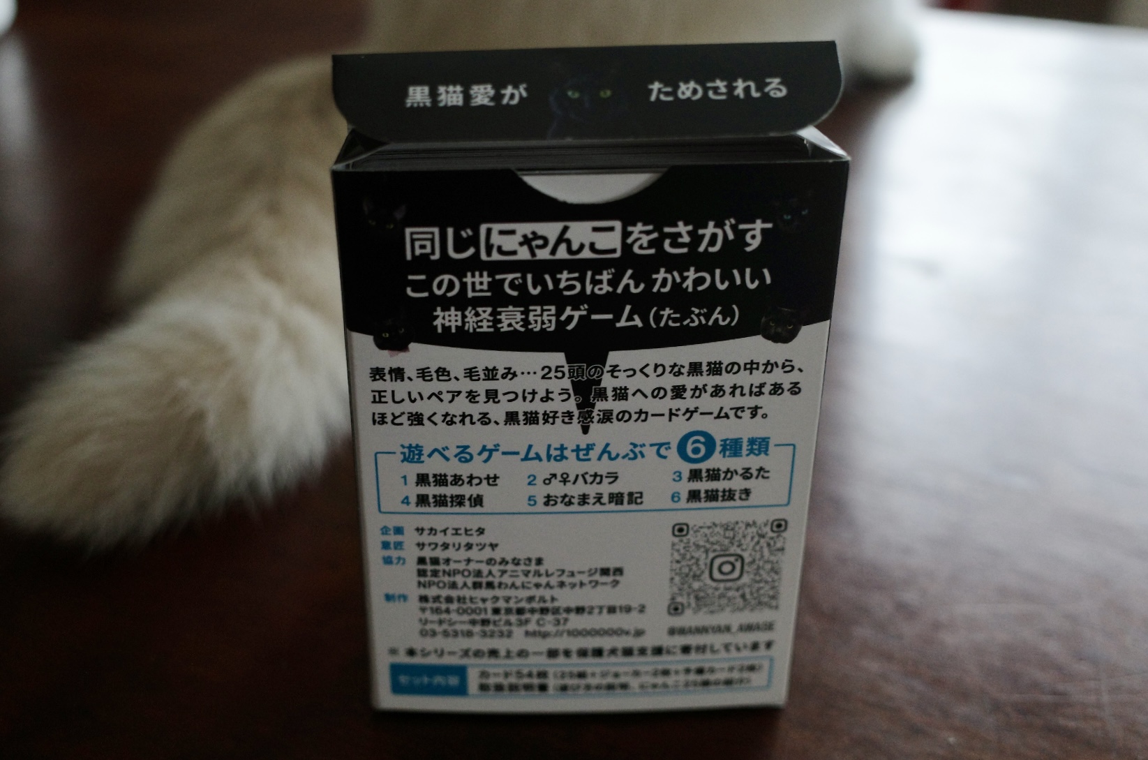 実在する25匹の黒猫写真だけで神経衰弱したら想像以上に地獄だった