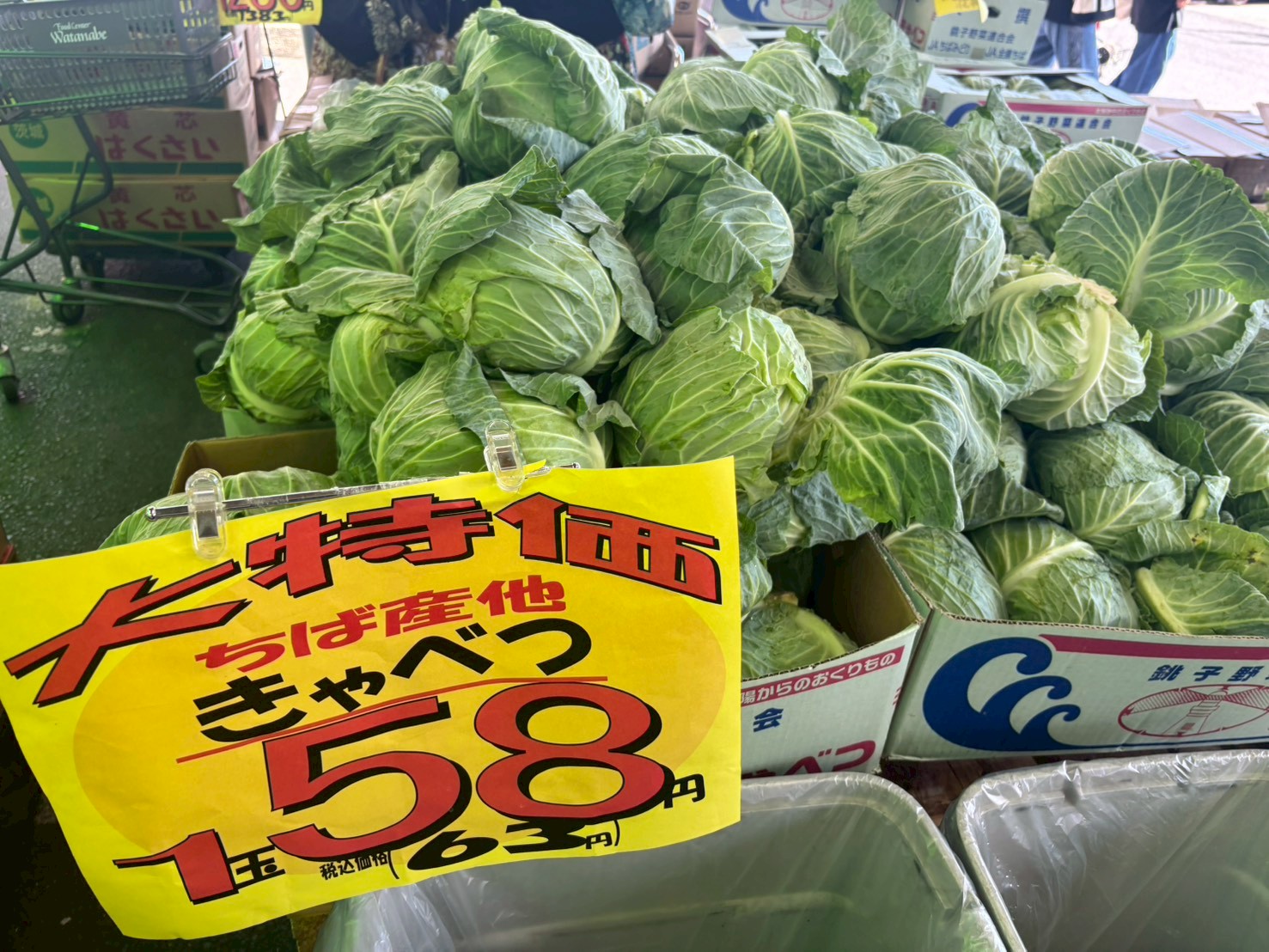 激安】キャベツ1玉あたり約54円！ 箱買い野菜と珍魚にテンション爆
