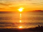 parsely-image-url