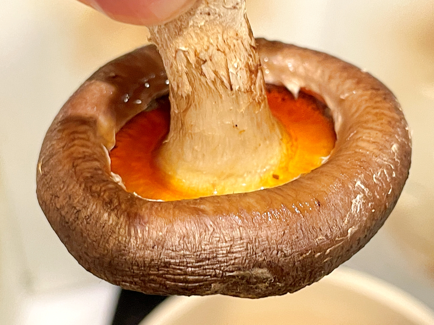 漫画『ハンチョウ』で知った「しいたけの焼き方」を試してみた！ 肉のようにジューシーになって感動