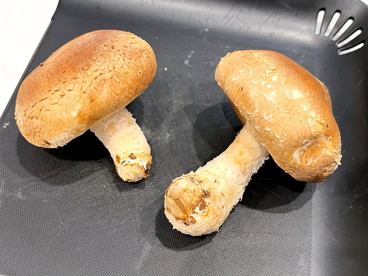 漫画『ハンチョウ』で知った「しいたけの焼き方」を試してみた！ 肉の