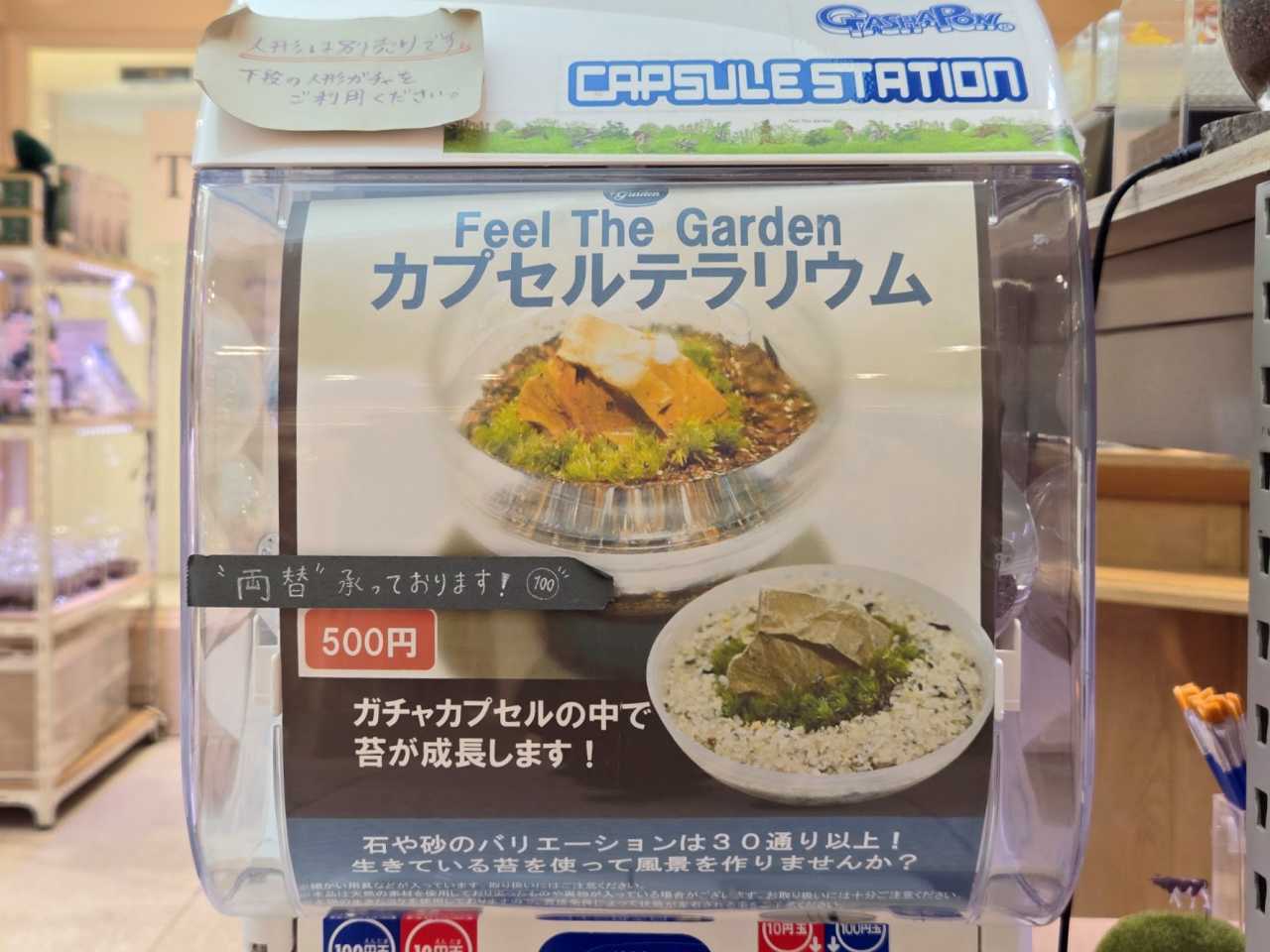 珍ガチャ】誰でも簡単に「苔テラリウム」が作れる！ 専門店が本気で