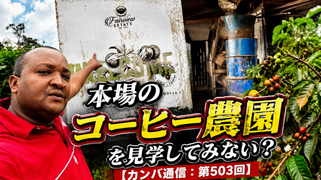ケニアに来たらサファリだけじゃない！ 本場のコーヒー農園を見学してみない？【カンバ通信：第503回】