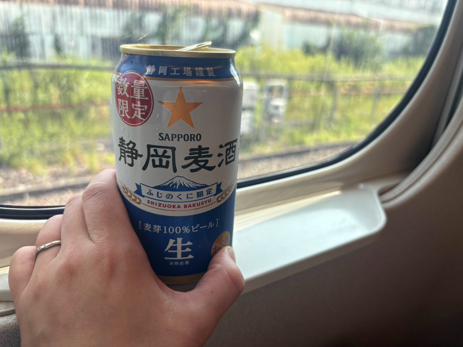 初対面のおじさんに3000円以上使ってしまったよ…熱海の「あつお」の虜になった我が家の夏