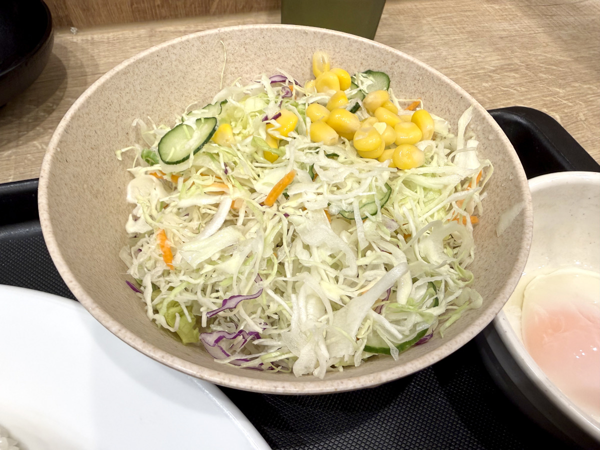 松屋に通って30年、ついに「生野菜の正解」に辿り着いたかもしれない / カレーに全部ぶち込むと化ける