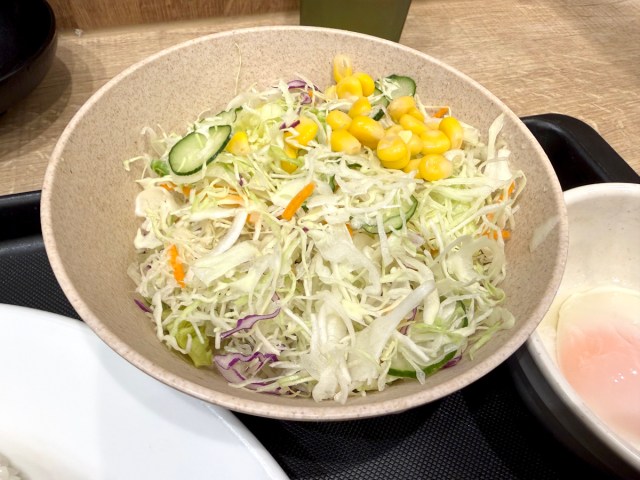 松屋に通って30年、ついに「生野菜の正解」に辿り着いたかもしれない / カレーに全部ぶち込むと化ける 松屋に通って30年、ついに「生野菜の正解」に辿り着いたかもしれない / カレーに全部ぶち込むと化ける